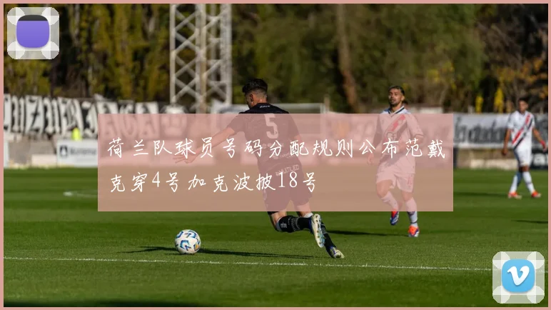 荷兰队球员号码分配规则公布范戴克穿4号加克波披18号