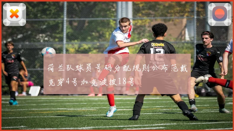 荷兰队球员号码分配规则公布范戴克穿4号加克波披18号