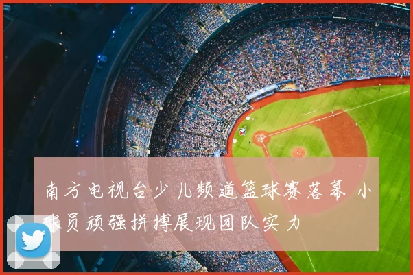 南方电视台少儿频道篮球赛落幕 小球员顽强拼搏展现团队实力