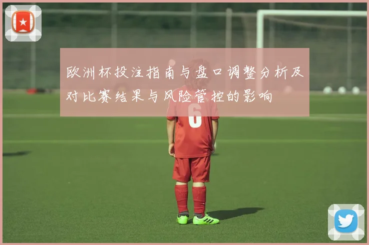 欧洲杯投注指南与盘口调整分析及对比赛结果与风险管控的影响