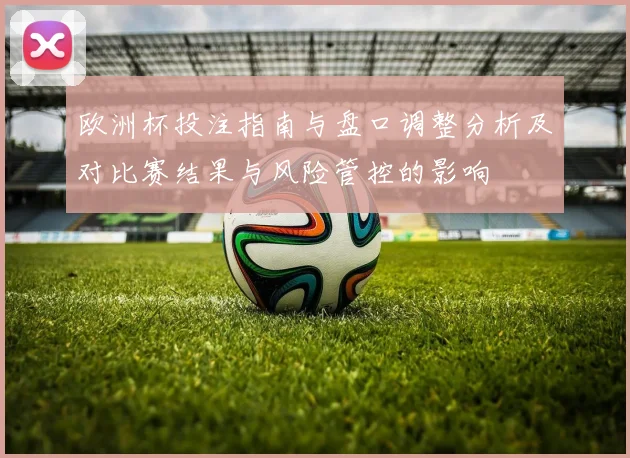 欧洲杯投注指南与盘口调整分析及对比赛结果与风险管控的影响