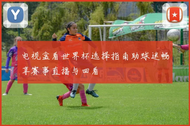 电视盒看世界杯选择指南助球迷畅享赛事直播与回看