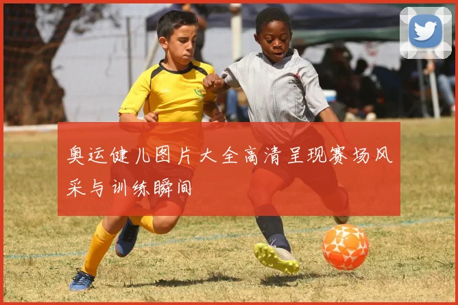 奥运健儿图片大全高清呈现赛场风采与训练瞬间