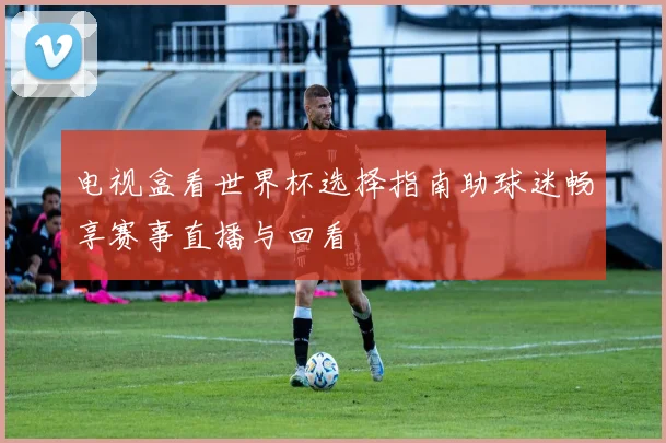 电视盒看世界杯选择指南助球迷畅享赛事直播与回看