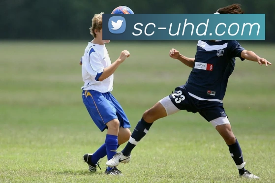 米兰app官方正版官网品牌故事