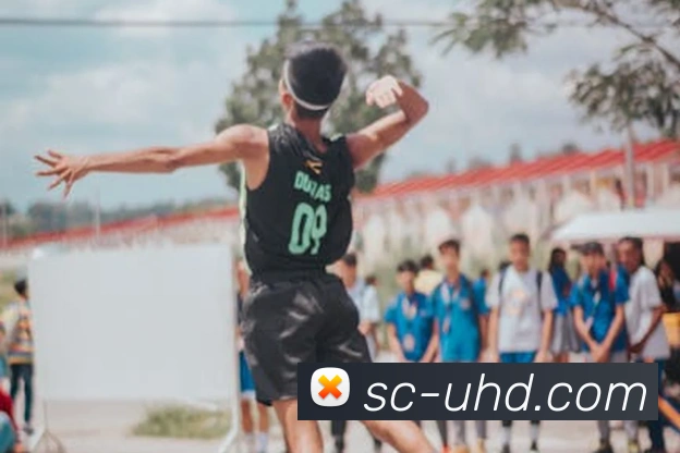 米兰app官方正版官网服务体系