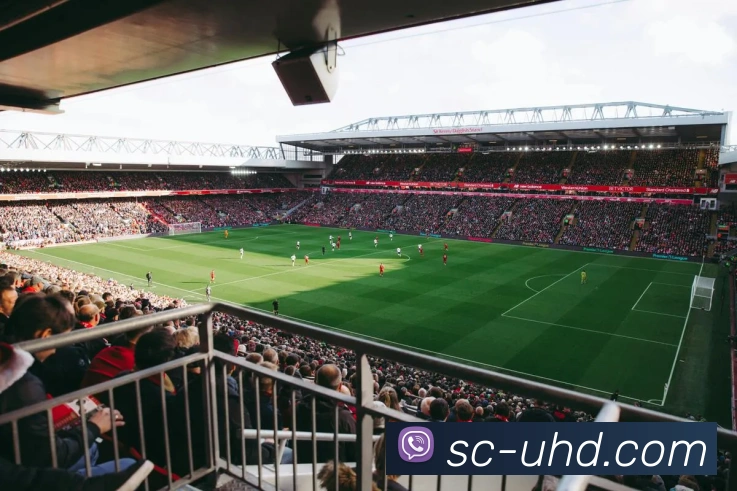 米兰app官方正版官网APP 体育赛事宣传图